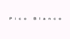 Pico Blanco