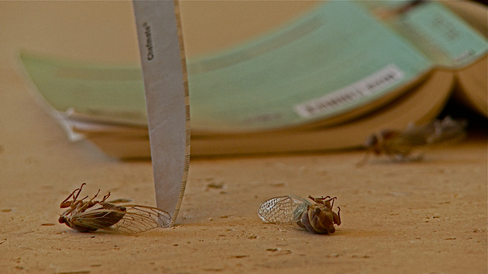 ske uble Life Through the Lens